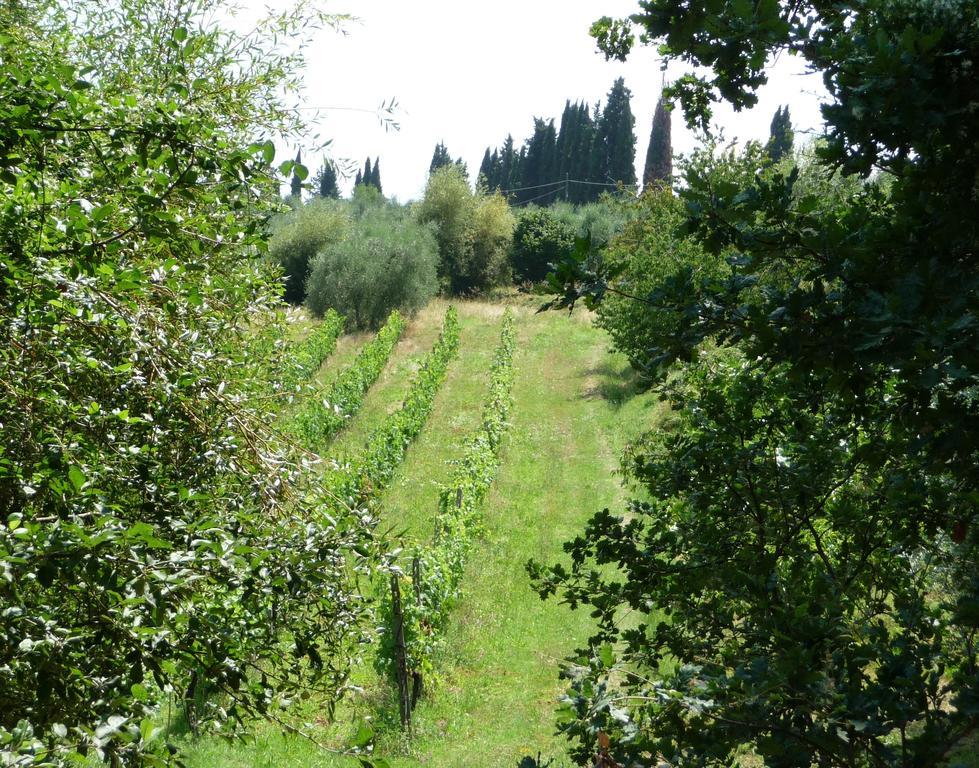A Casa Di Lizzy B&B Monte Lopio Εξωτερικό φωτογραφία